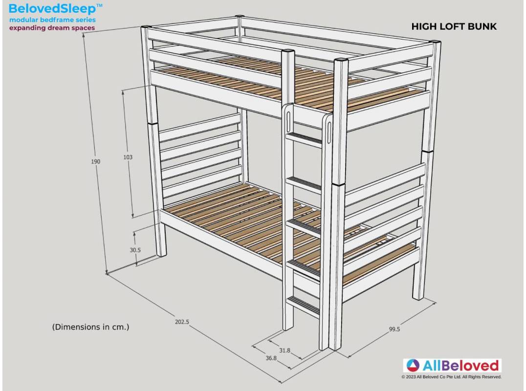 Modular Bunk Bed Singapore High Loft Bunk All Beloved